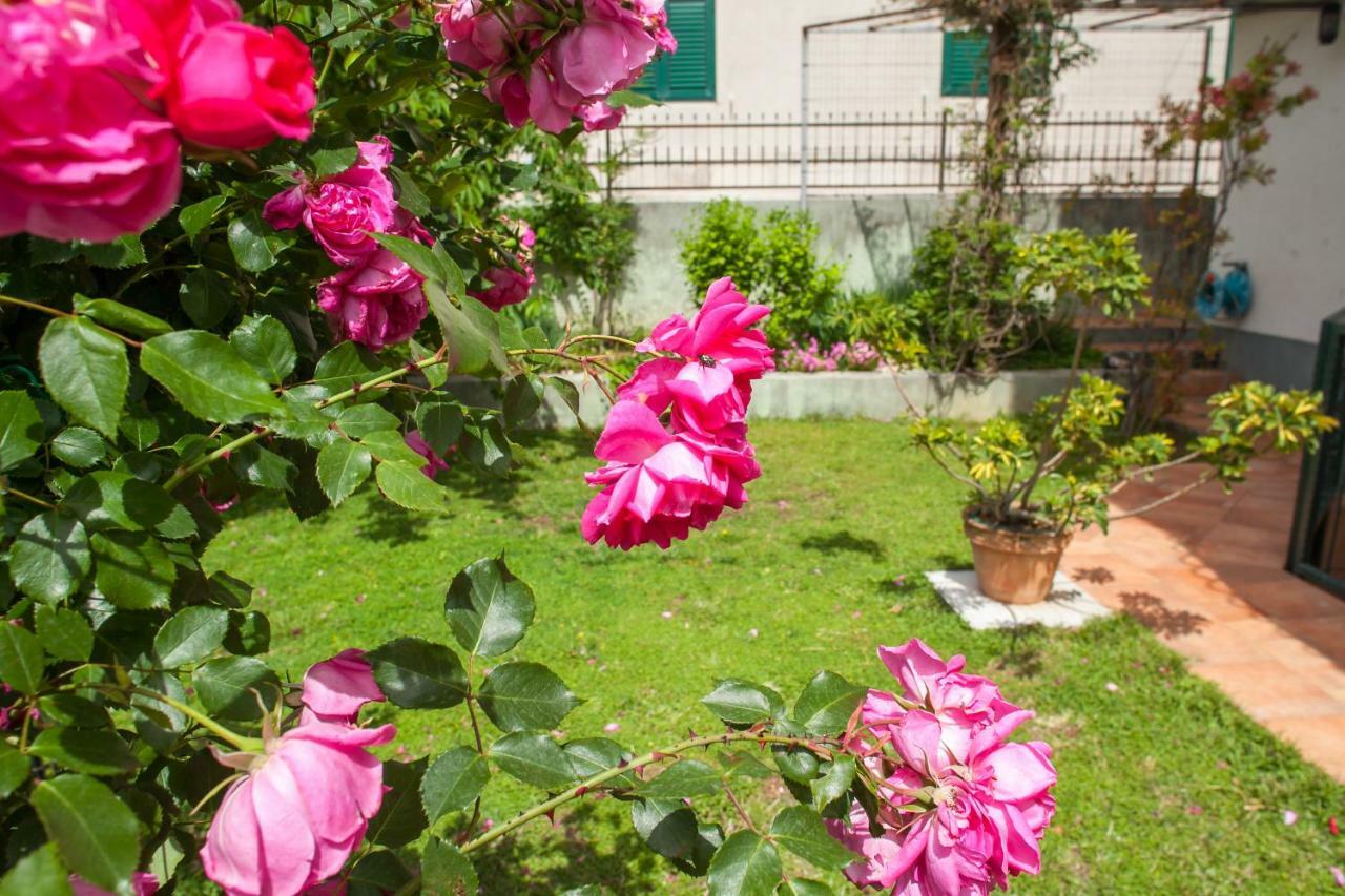 Apartments Cvjetni Dvori Makarska Ngoại thất bức ảnh